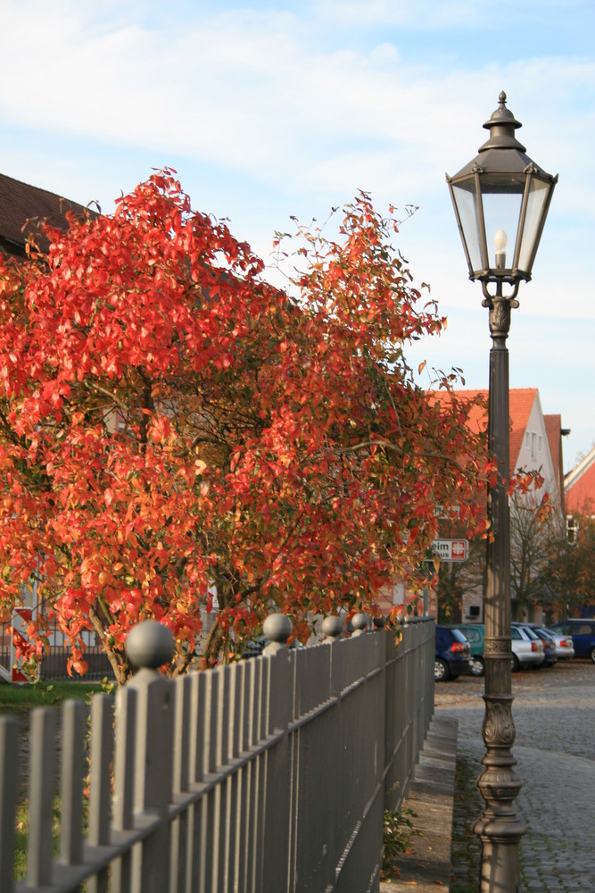 In einem alten Fränkischen Dorf ! In Berching.