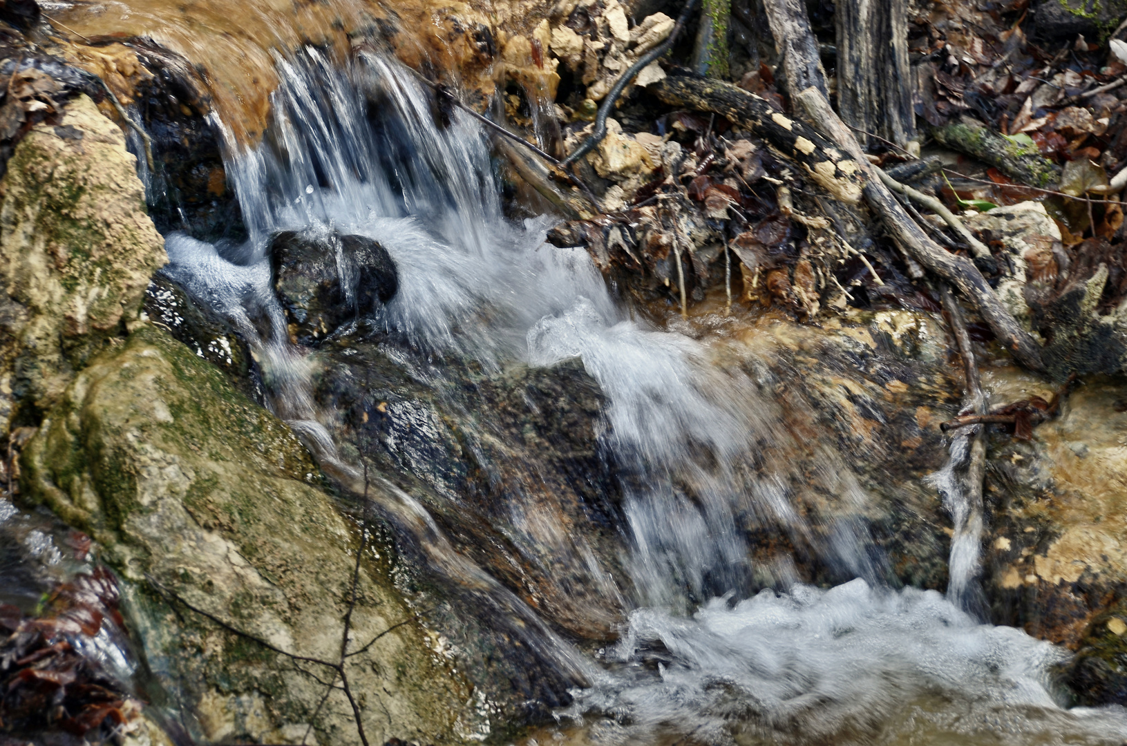 In einem Bächlein helle Foto & Bild wald, wasser, frühling Bilder auf In einem Bächlein helle Foto & Bild wald, wasser, frühling Bilder auf