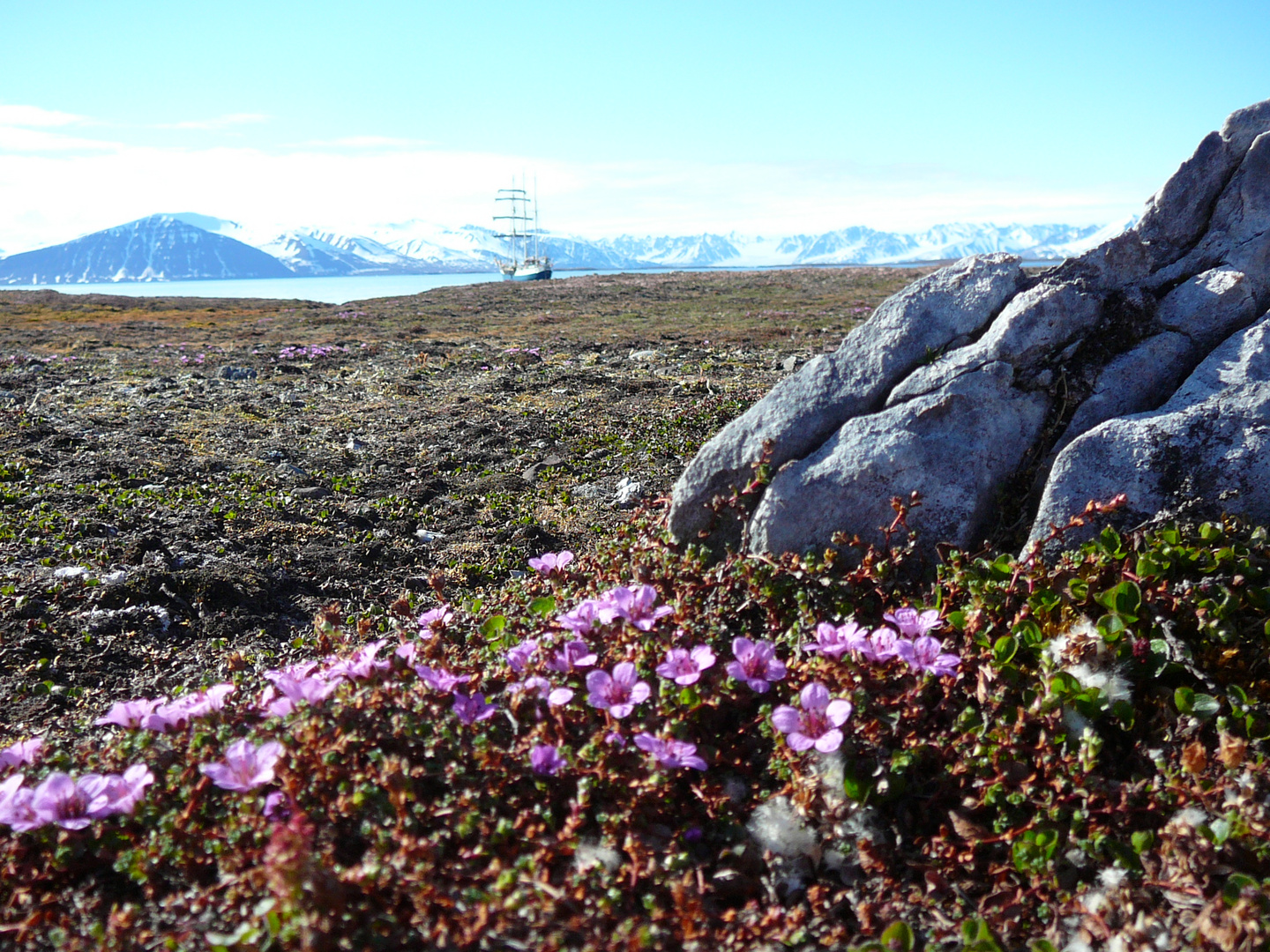 In einem der vielen Fjorde von Svalbard.