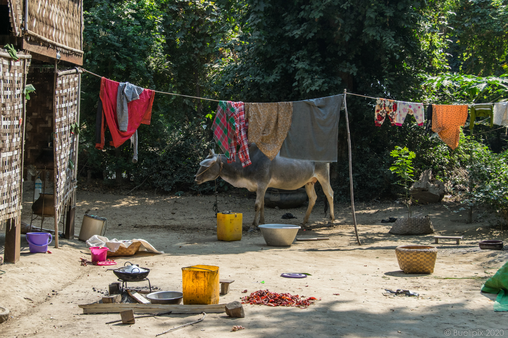 in einem Dorf am Irrawaddy (© Buelipix)