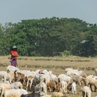 in einem Dorf am Irrawaddy (© Buelipix)