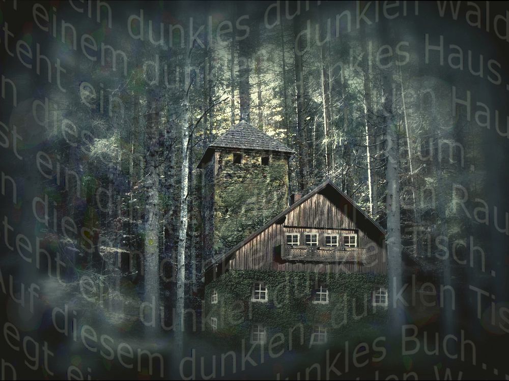 In einem dunklen, dunklen Wald