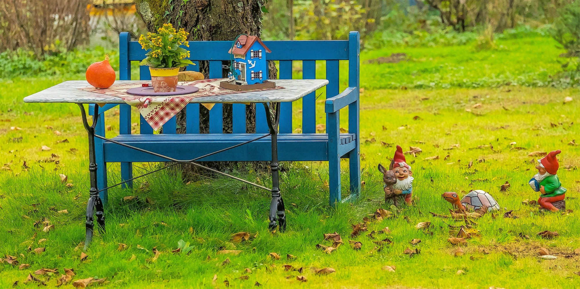 In einem Garten