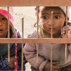 In einem Indischen Hinterhof (Leh-Ladakh)