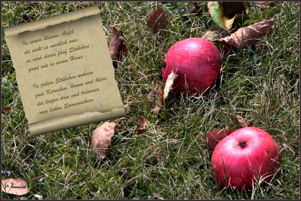 In einem kleinen Apfel... Foto & Bild | pflanzen, pilze ...
