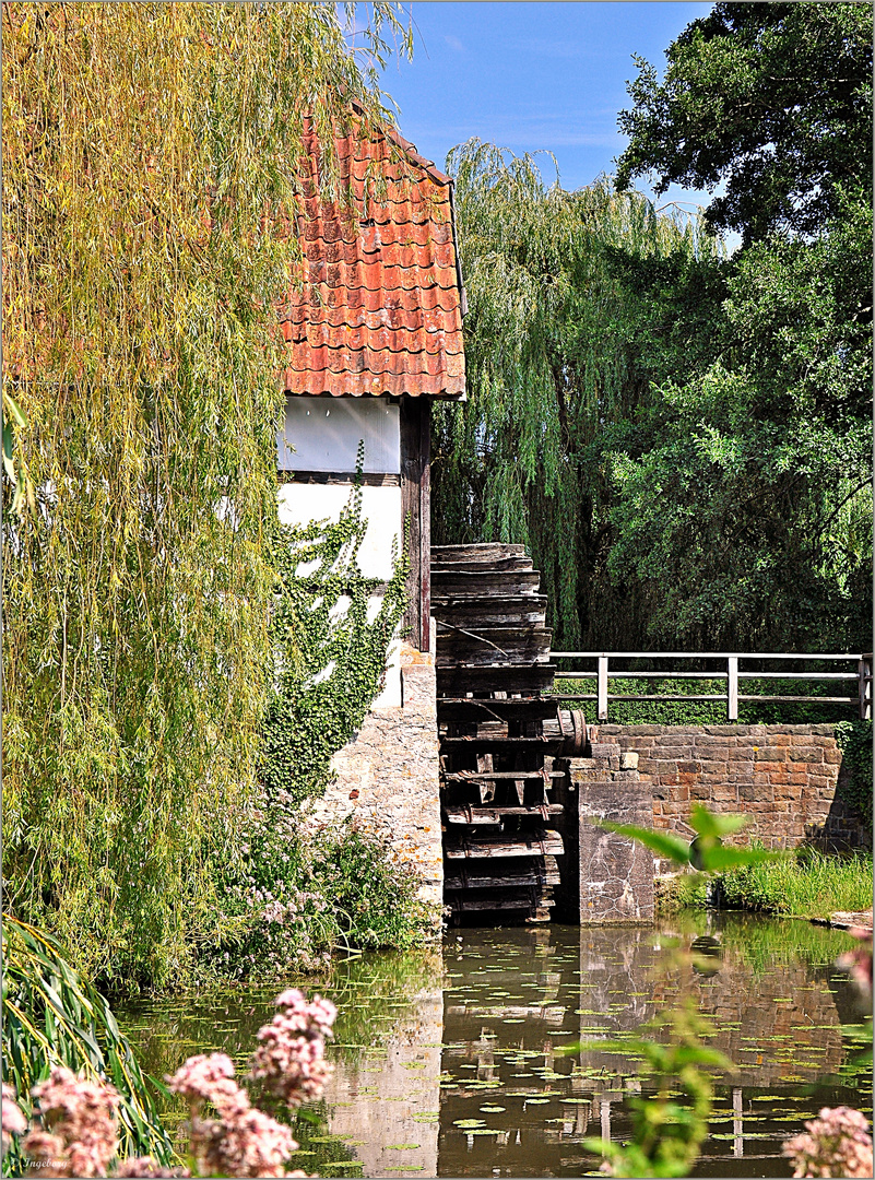 In einem kühlen Grunde