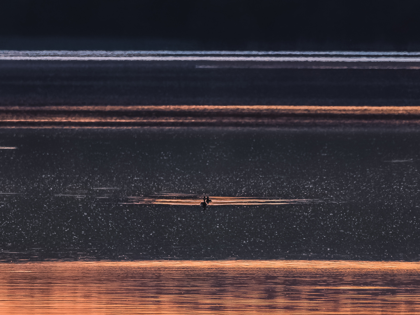 In einem Meer von Eintagsfliegen...