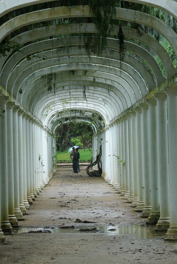 in einem naturpark in rio