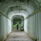 in einem naturpark in rio