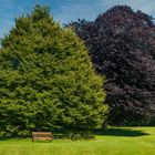 In einem Park in Glastonbury