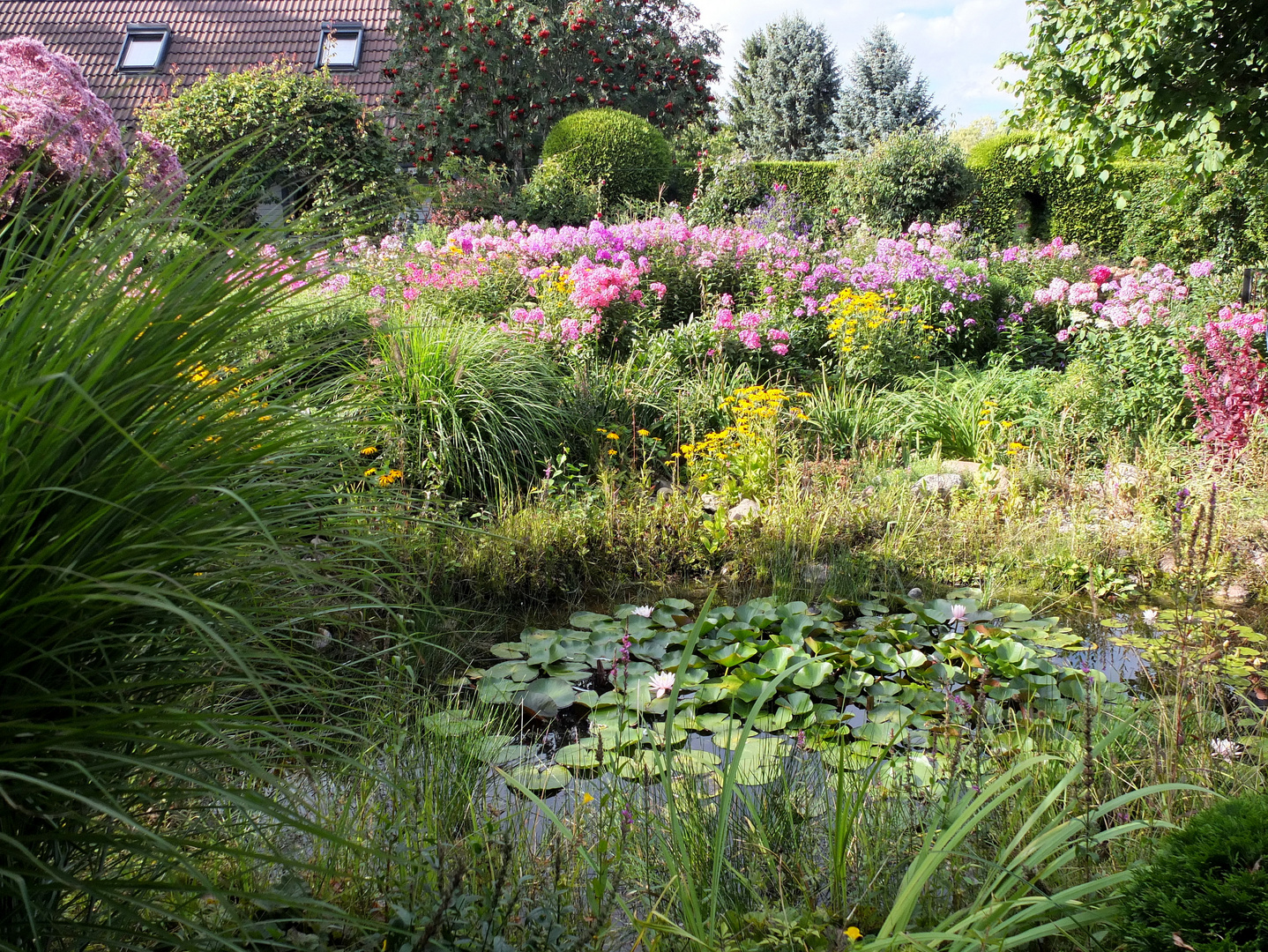 in einem schönen Garten 1