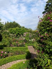 in einem schönen Garten 2