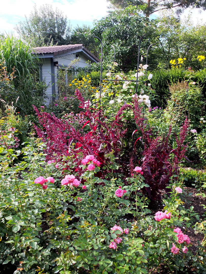 in einem schönen Garten 3