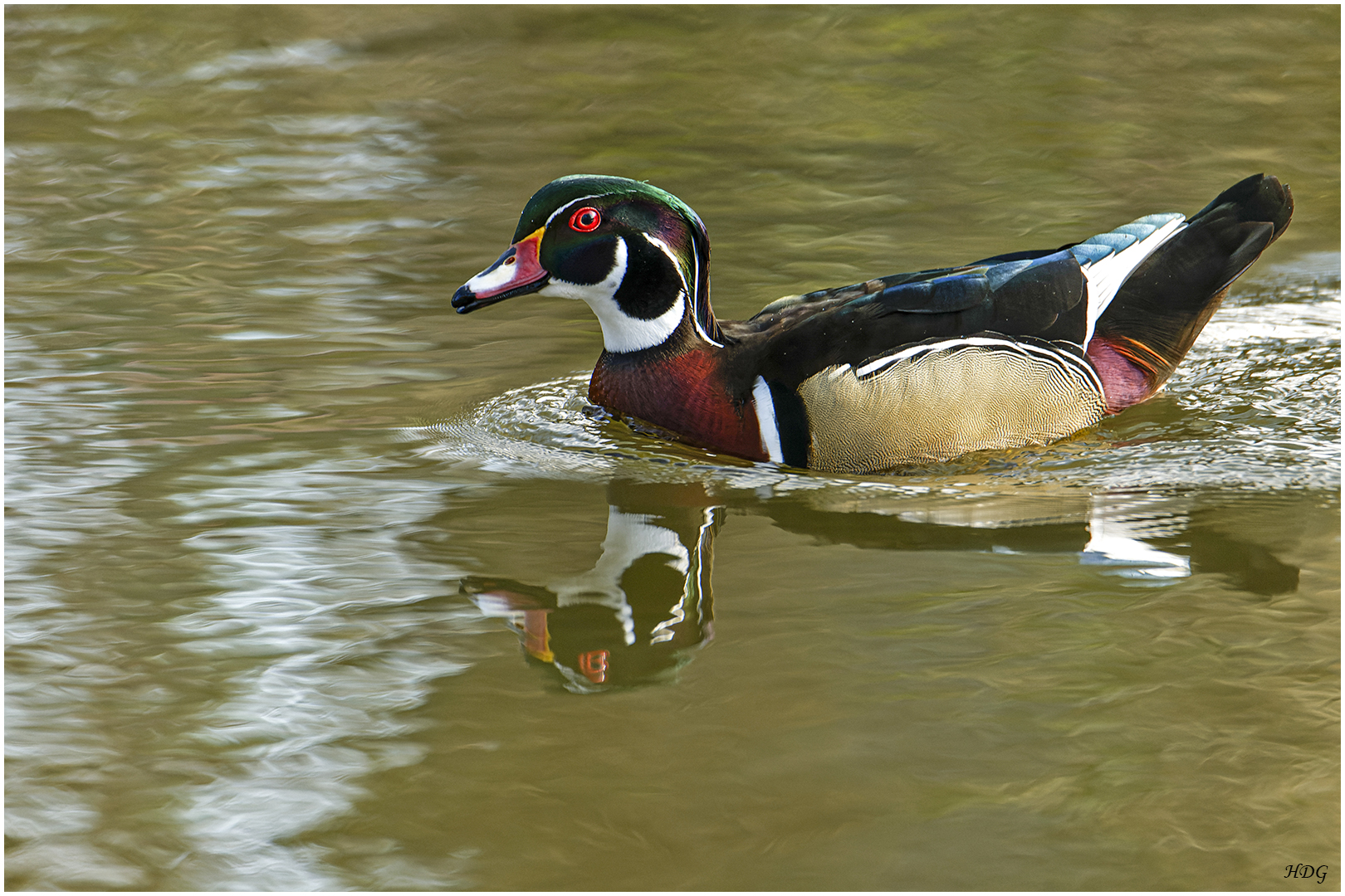 In einem Tierpark (3) ... 