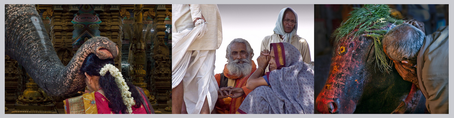 In einer fremden und doch so spannenden und bunten Welt*