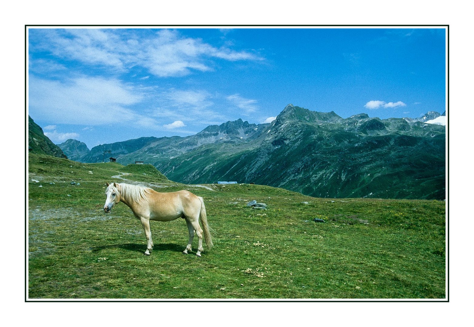 In einer friedlichen Bergwelt