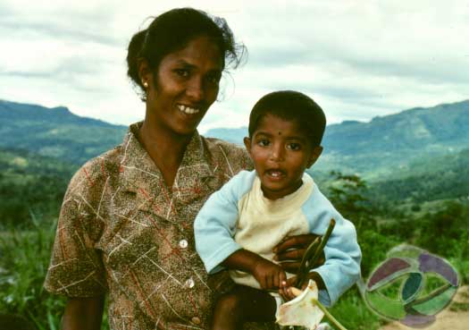 In einer friedlichen Familie kommt das Glück von selber.