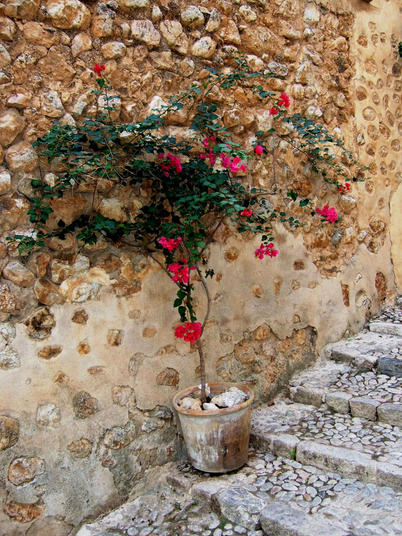 In einer Gasse von Fornalutx / Mallorca