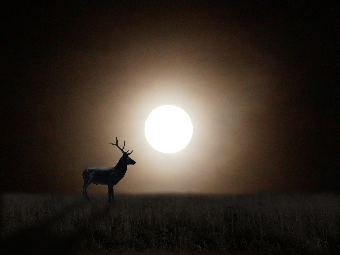 in einer Herbstnacht