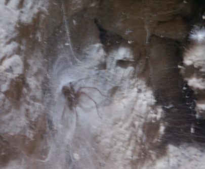 In einer Höhle auf Kreta