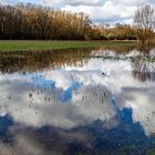 In einer überfluteten Wiese