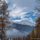 in einer Waldlichtung (2)