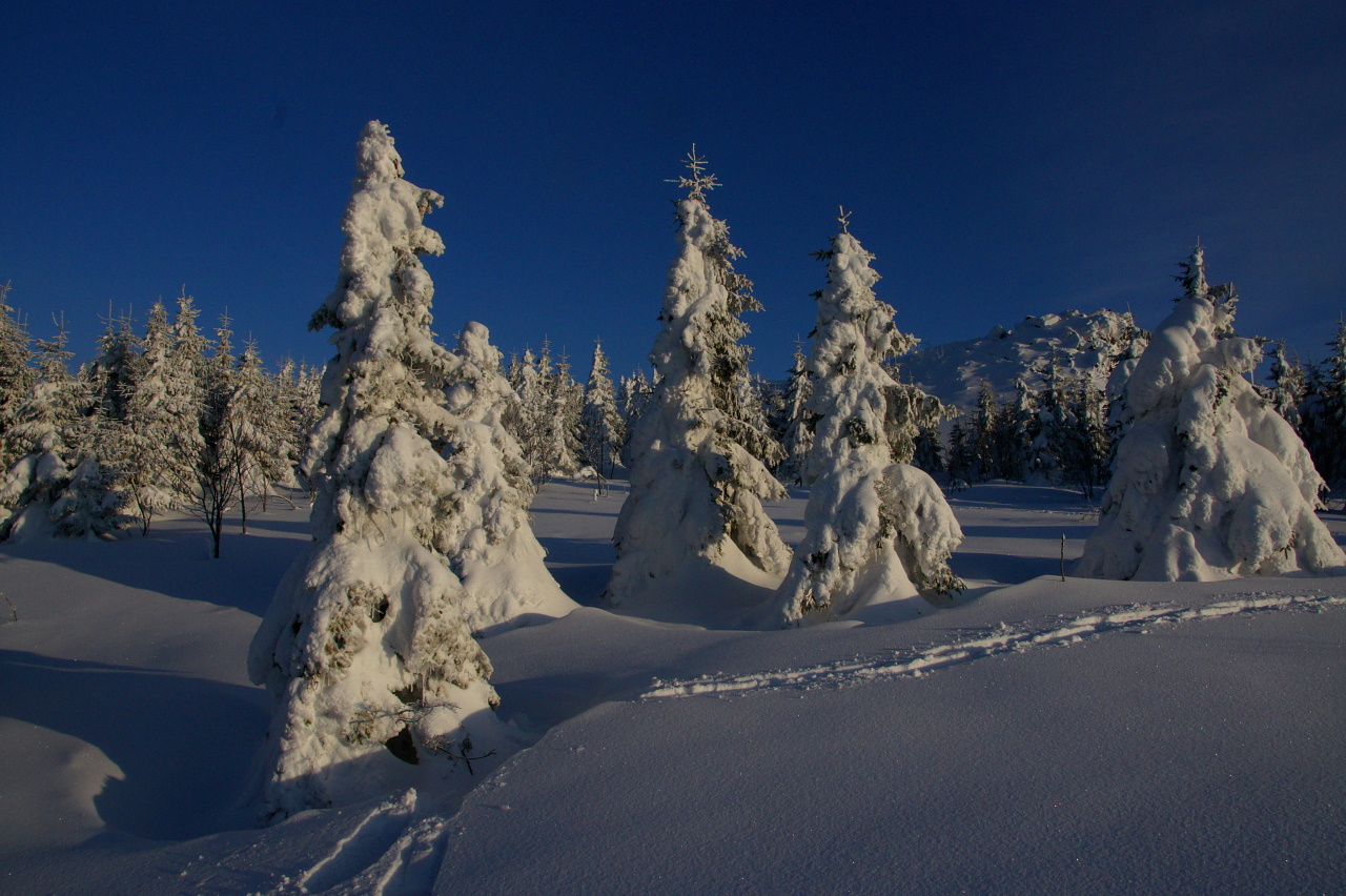 In Eis erstarrt - Wolfswarte am Brocken/Harz