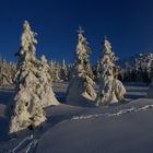 In Eis erstarrt - Wolfswarte am Brocken/Harz