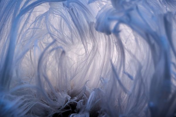 In Eishaaren gefangen