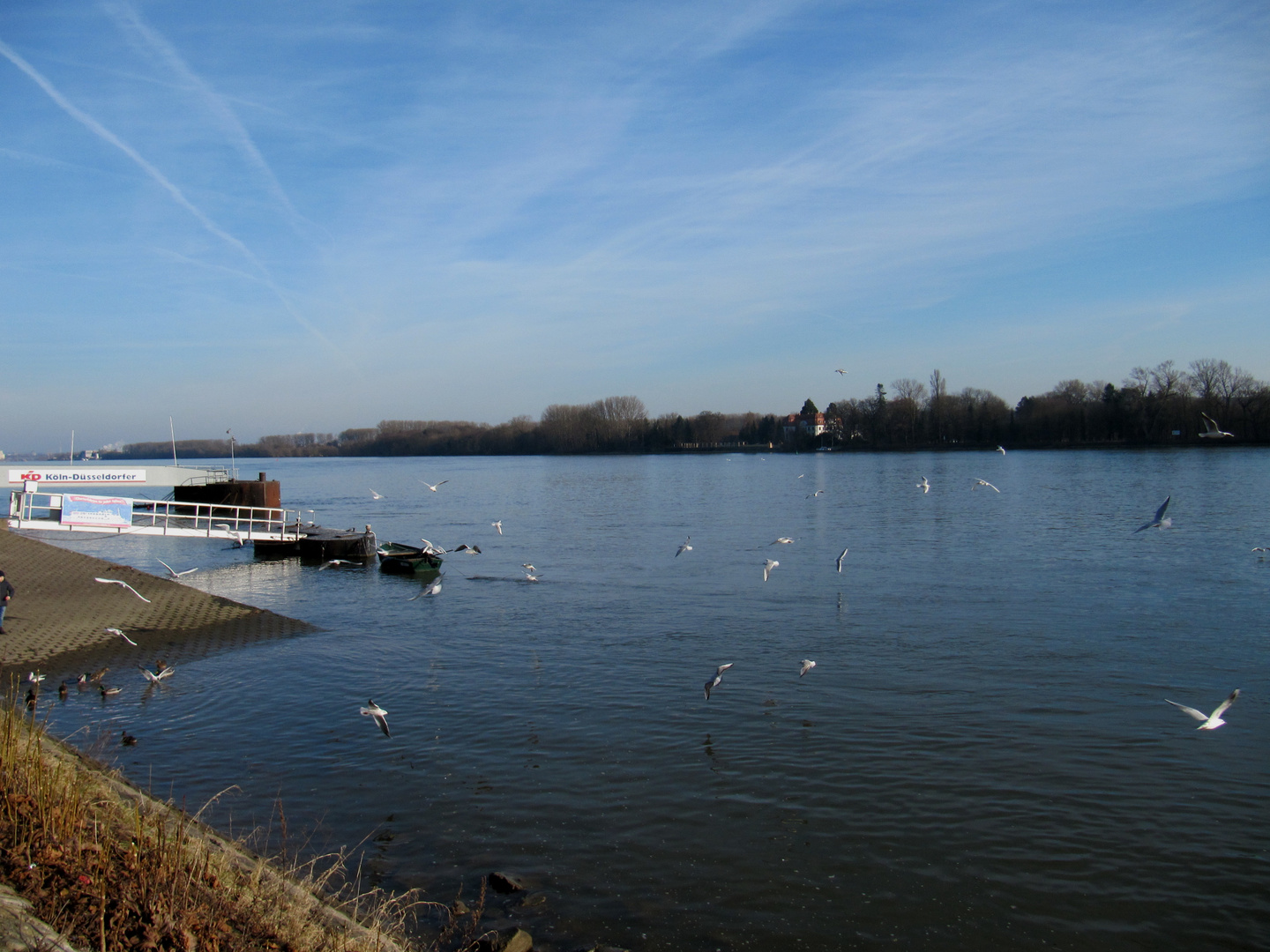 in Eltville am Rhein