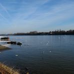 in Eltville am Rhein