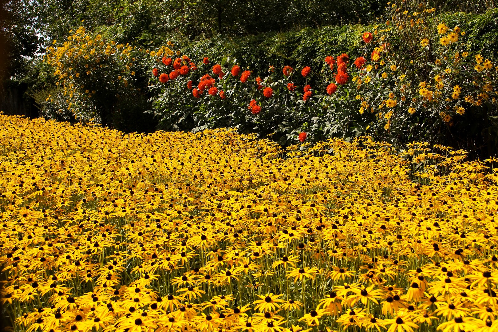 in Emil Noldes Garten