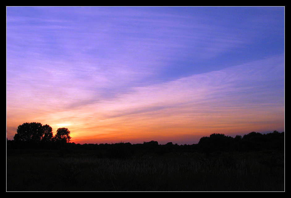 In Erinnerung an den Sommer