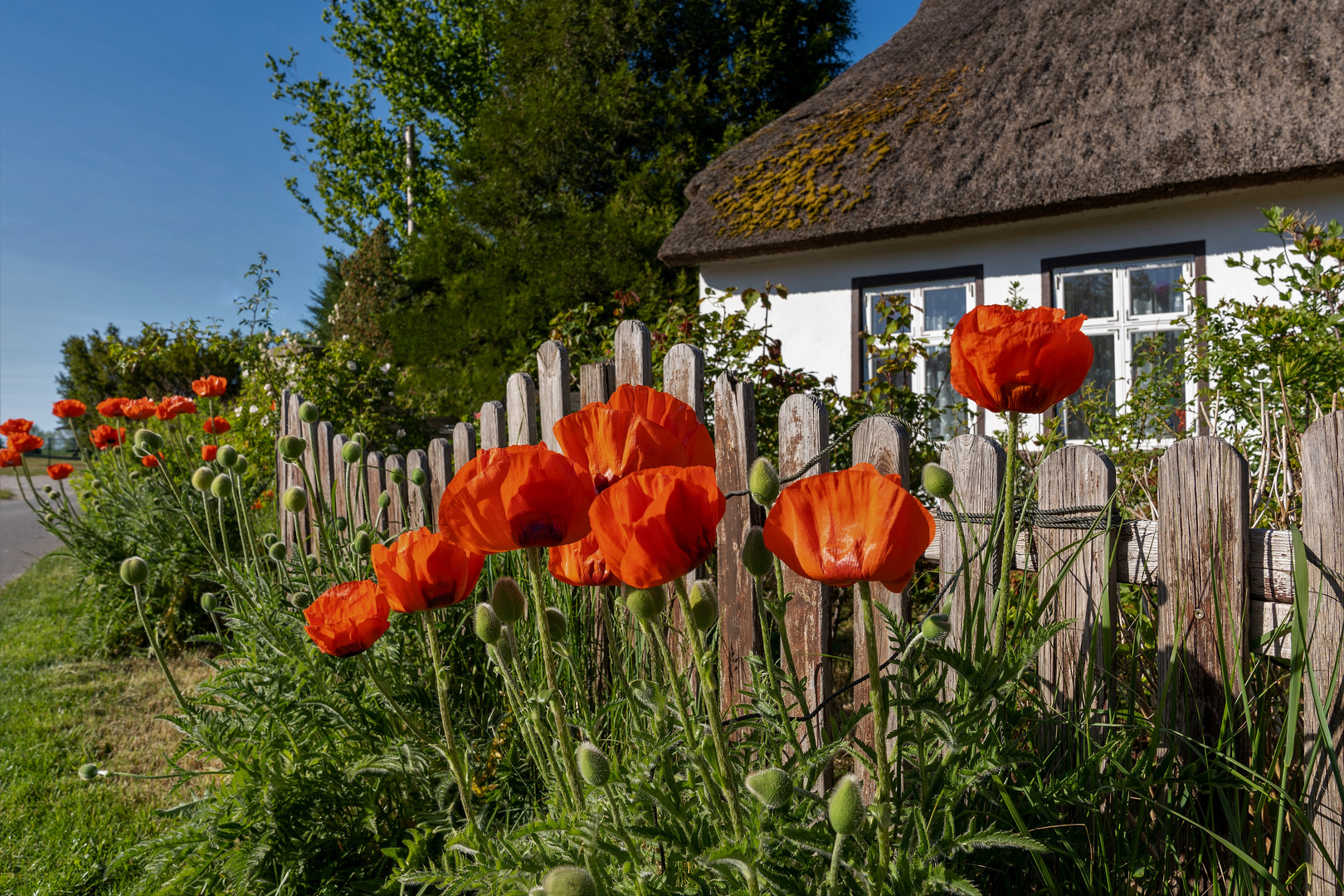 In Erinnerung an einen schönen Sommer: Usedom