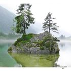 In Erinnerung an Francesco, aufgenommen in Ramsau!