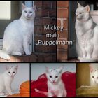 IN ERINNERUNG AN "MICKEY" - MEINEN "PUPPELMANN"