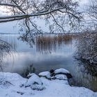 … In Erinnerungen zu baden …