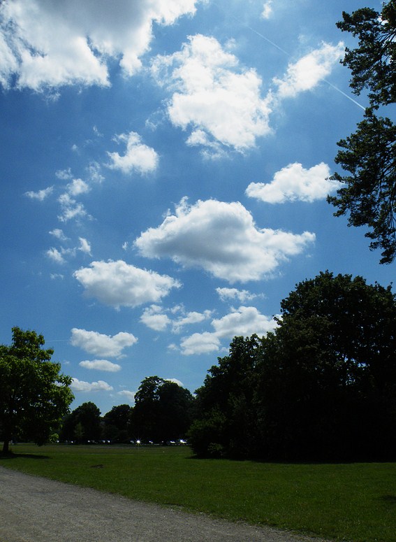 In Erwartung des Sommers