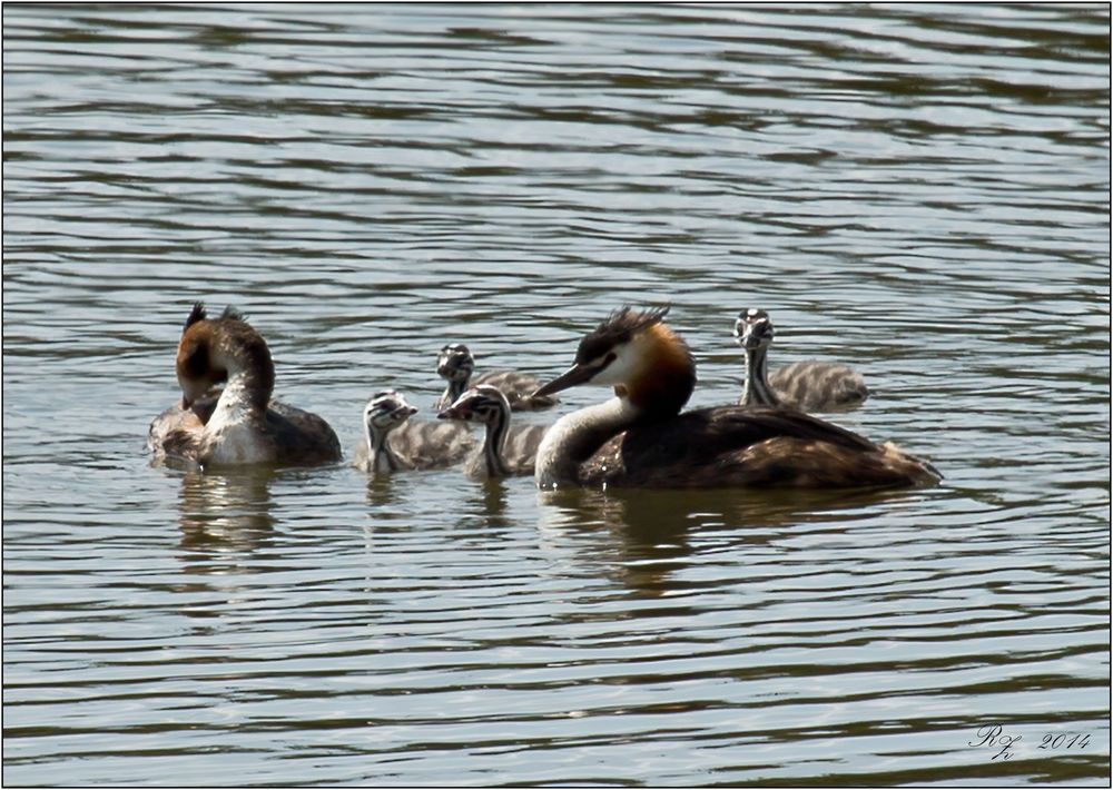 In Familie