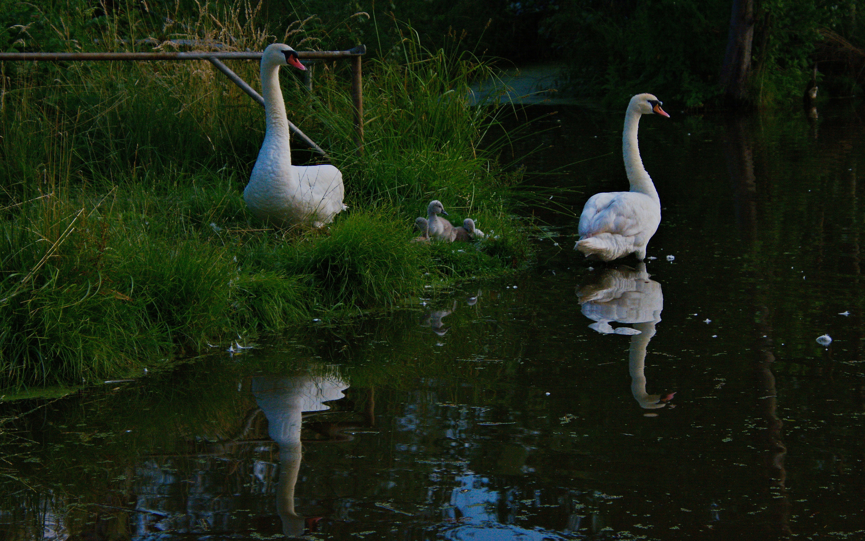 In Familie