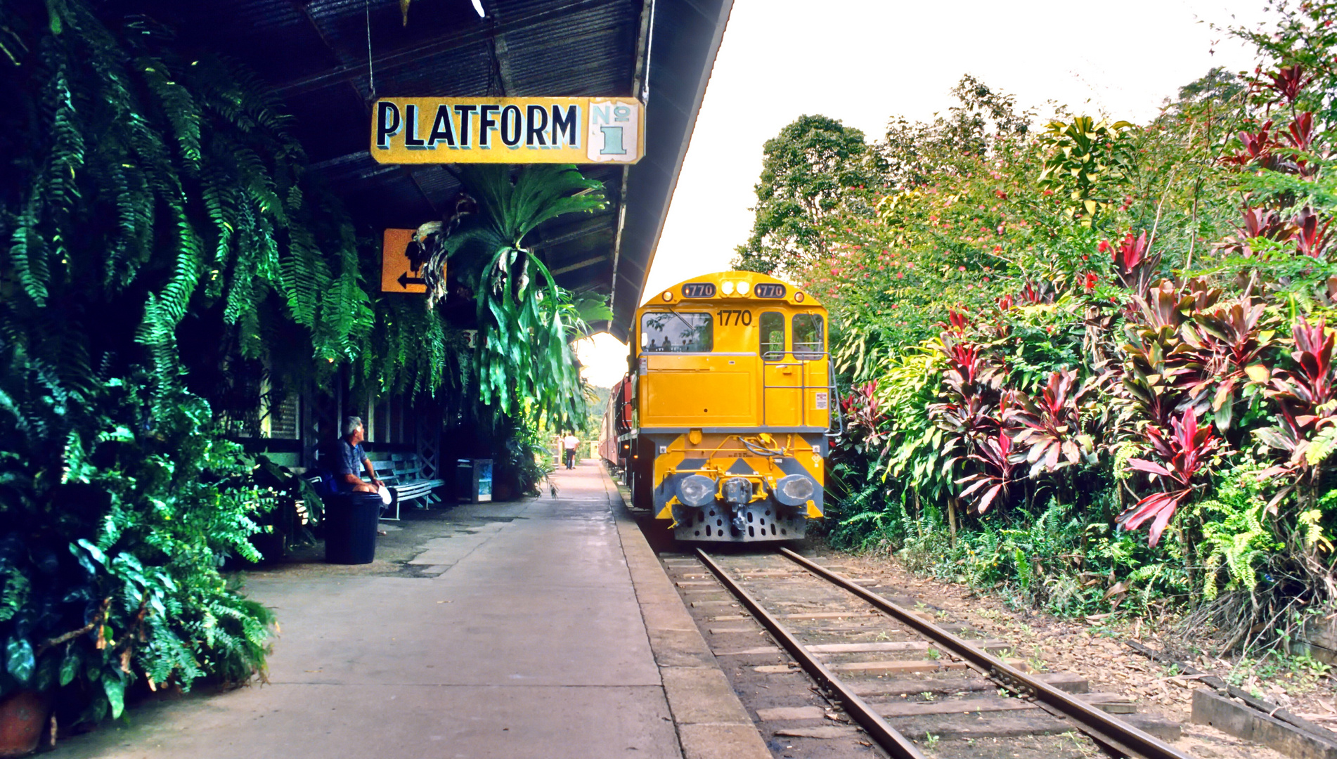 In Farbe: im Bahnhof von Kuranda