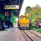 In Farbe: im Bahnhof von Kuranda