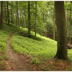 In Feldberg angekommen 3