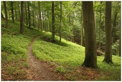 In Feldberg angekommen 3