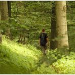 In Feldberg angekommen 4