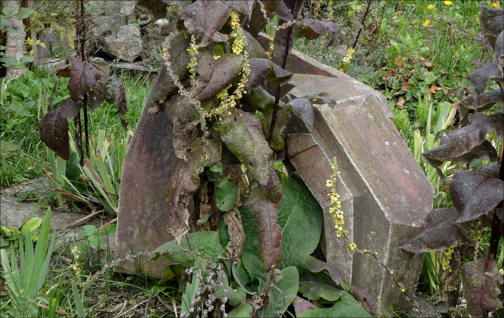 in felicitas' garten