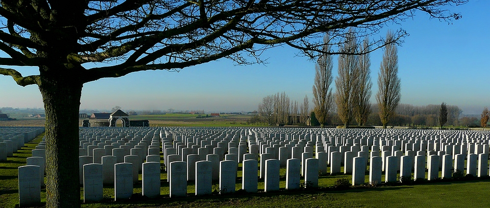 In Flanders fields (1)