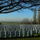 In Flanders fields (1)