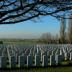 In Flanders fields (1)