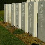 In Flanders fields (4)